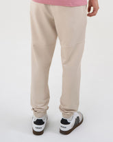 Men's Enduro Stretch Joggers - Ivory Mist